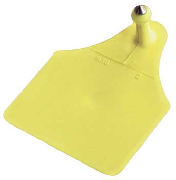 Ohrmarke Senior, m&auml;nnlich, 100-St&uuml;ck-T&uuml;te ungepr&auml;gt